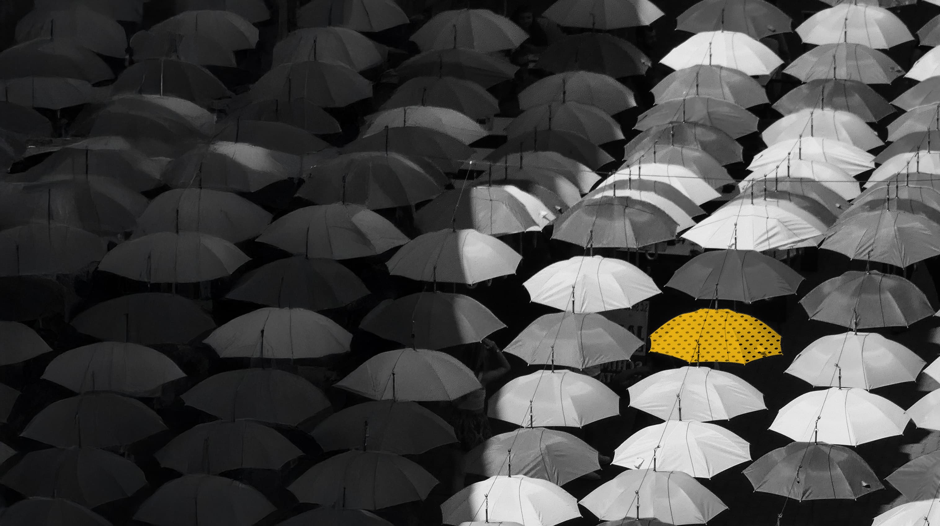 Brand Archetypes: Why They Matter and How to Find Yours